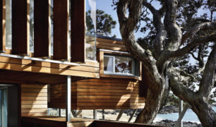 tree-house-exterior