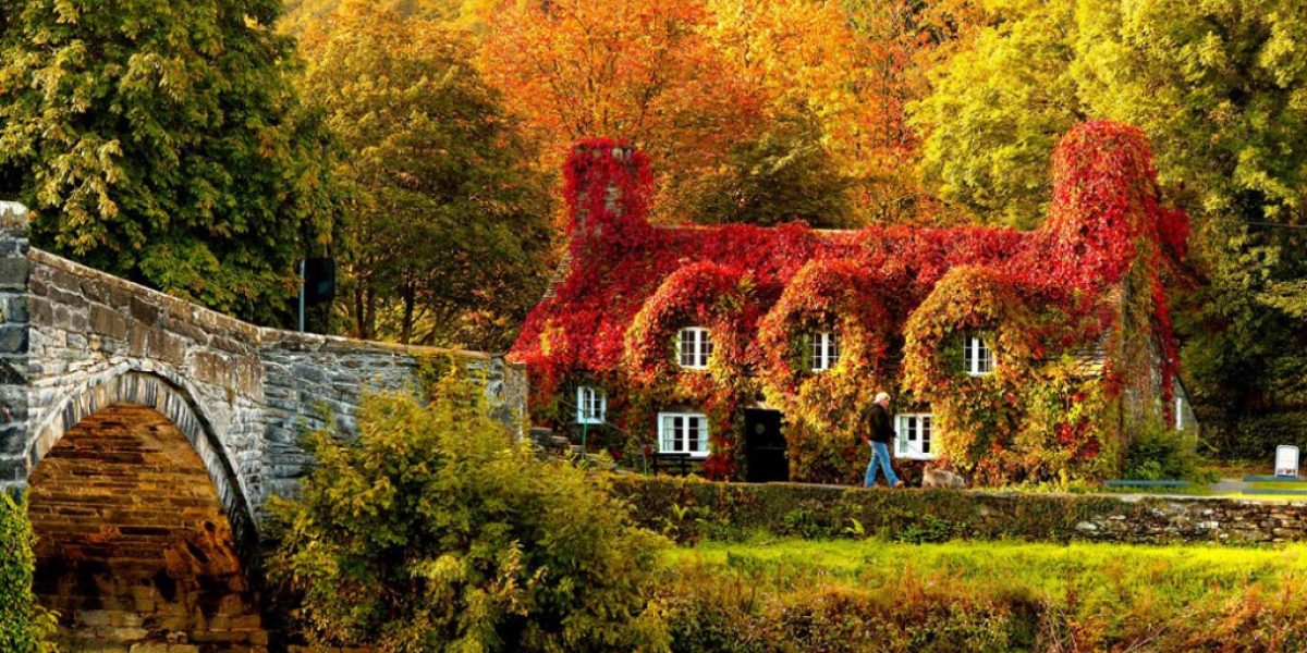 Autumn-House-Bridge-amazing