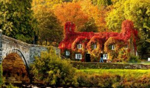 Autumn-House-Bridge-amazing