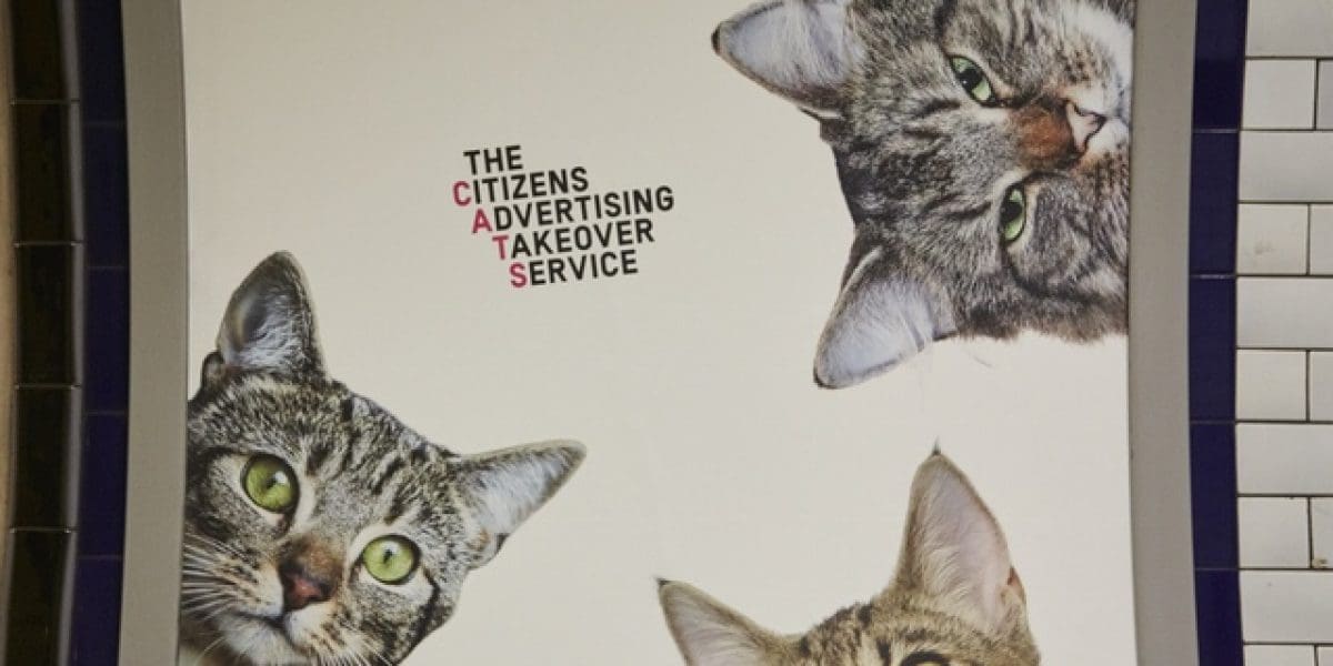 cat-ads-underground-subway-metro-london-7 - M2woman