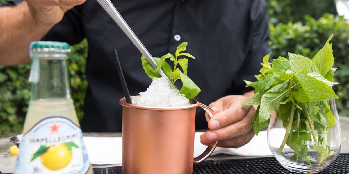 Dark Julep Cocktail