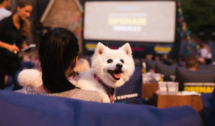 Open-air cinema dog movie date M2Woman