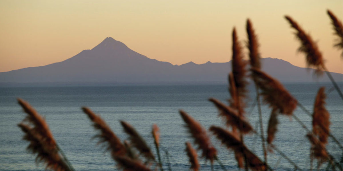 Taranaki