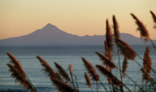 Taranaki