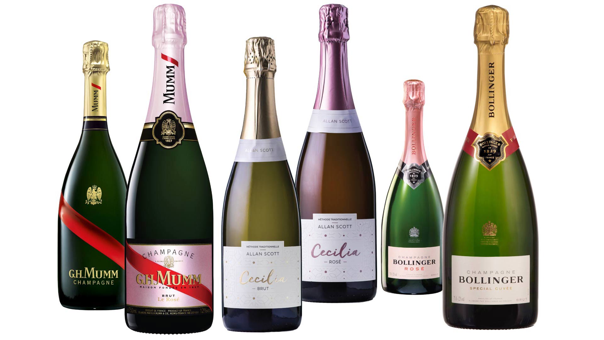 Wines Wines