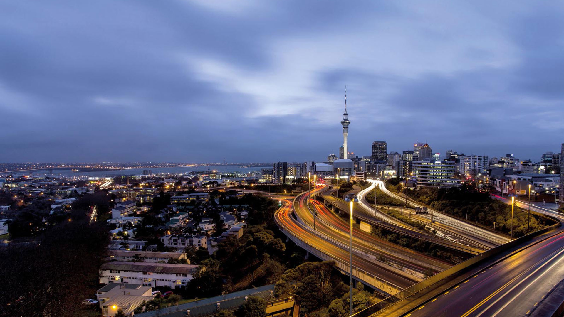 auckland-city-vector auckland-city-vector
