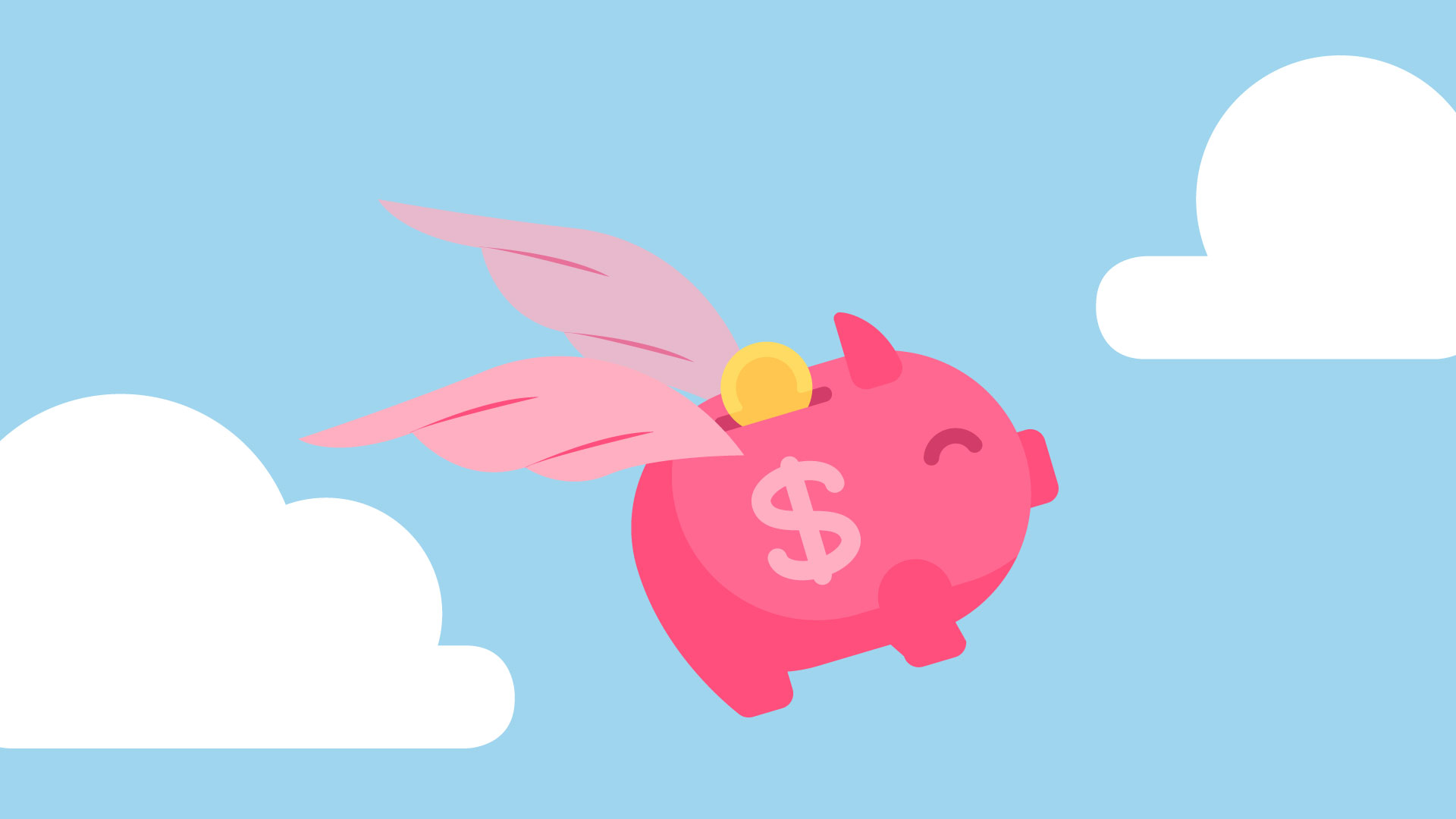 flying-pig flying-pig