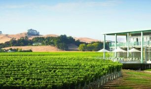 elephant-hill-winery-is-doing-free-shipping-and-a-special-code-for-all-m2-readers-te-awanga-sauvignon-blanc-block-m2magazine.co_.nz-1024x351-m2magazine.co.nz