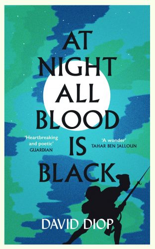 m2woman-summer-21-at-night-all-blood-is-black