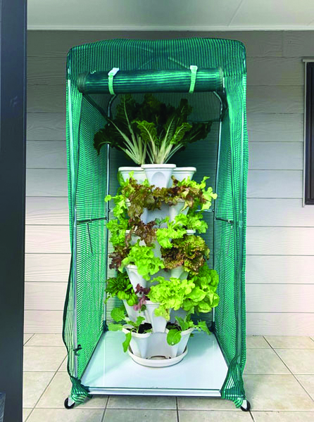 m2woman-summer-21-planter-apartment-grow-vegetables