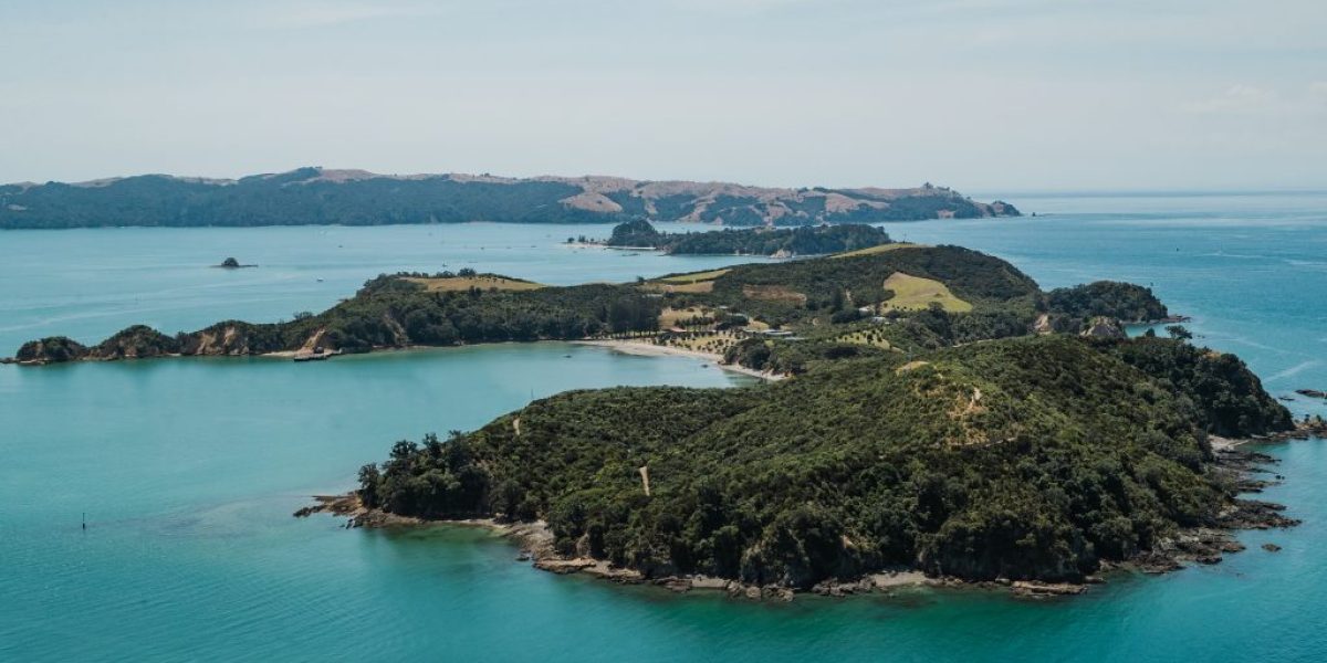 m2woman-rangitoto-tiritiri-matangi-island