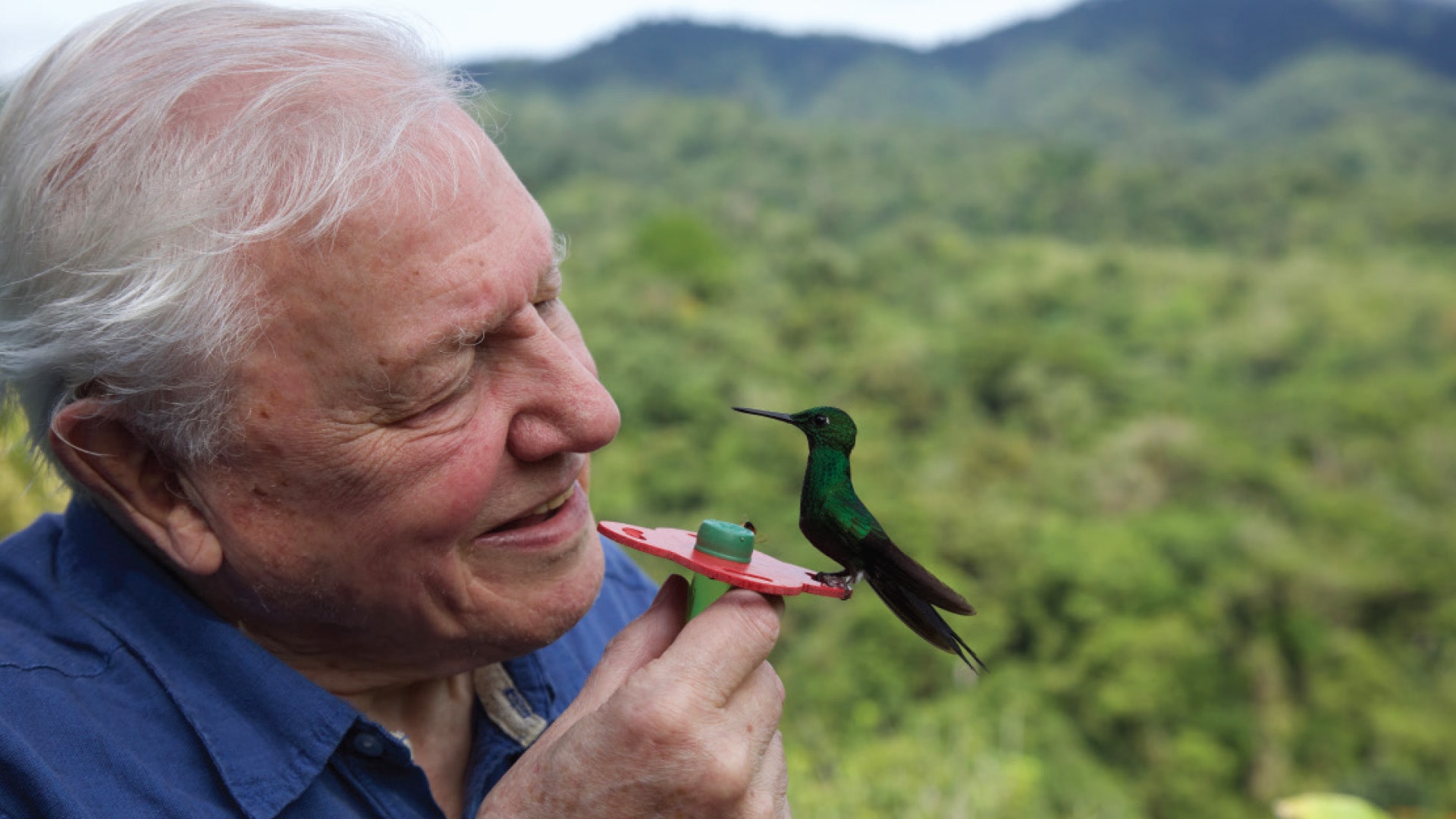 To Watch And Do - M2woman - Life in Colour David Attenborough