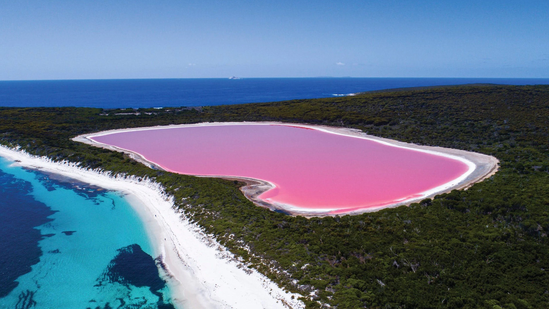 Pink-lake Pink-lake