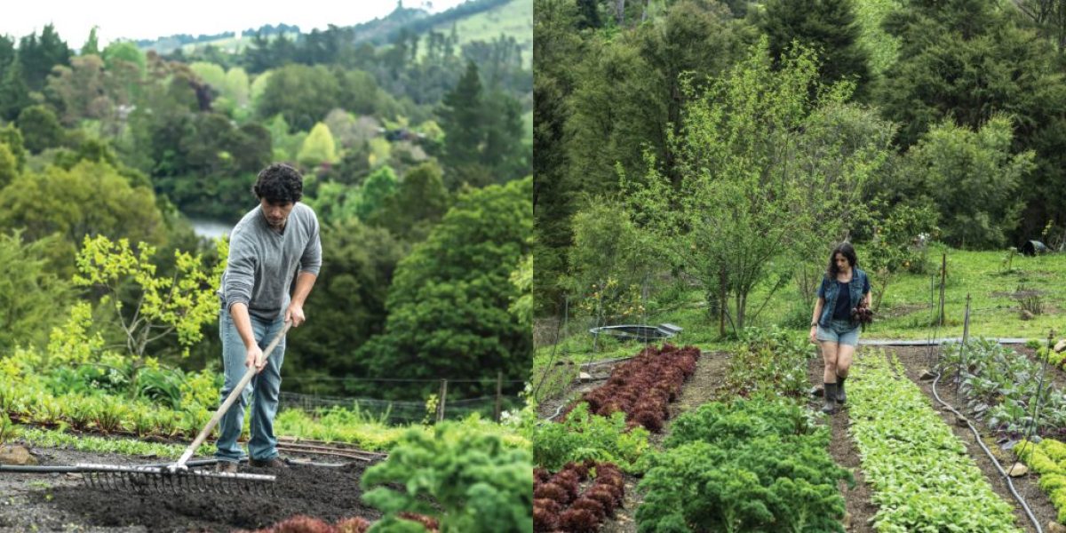 Niva and Yotam Kay - The Abundant Garden - M2woman