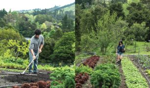 Niva and Yotam Kay - The Abundant Garden - M2woman