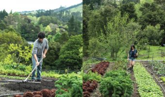 M2woman.com - Holistic Harvests Niva and Yotam Kay - The Abundant Garden - M2woman