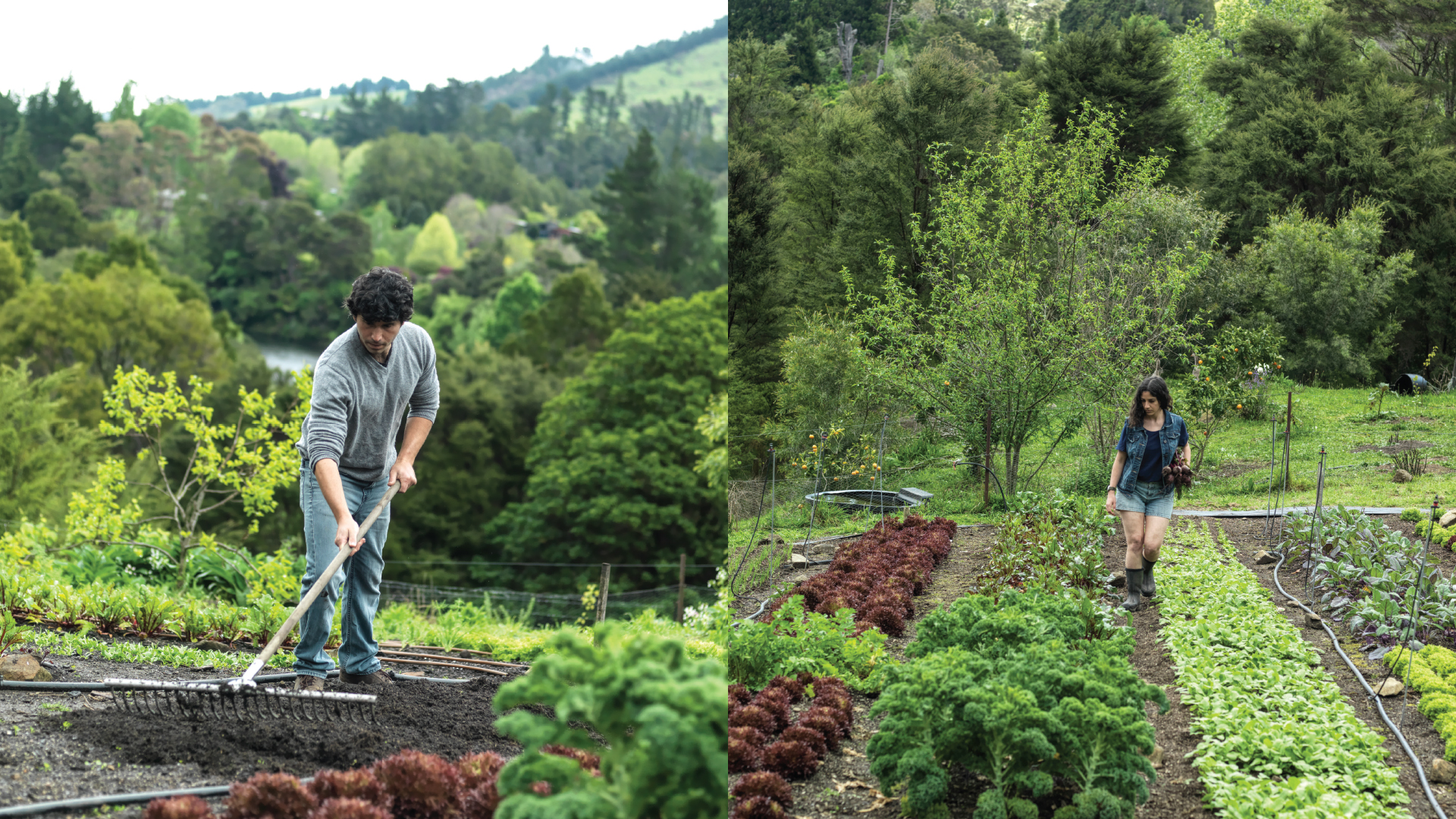 M2woman.com - Holistic Harvests Niva and Yotam Kay - The Abundant Garden - M2woman