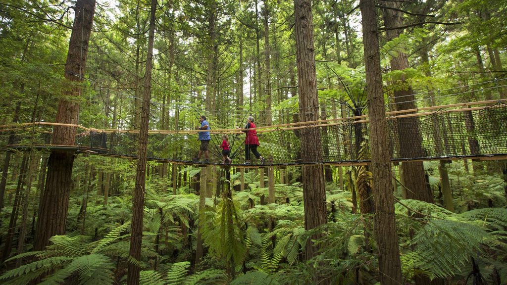 m2-rotorua-redwoods-school-holidays