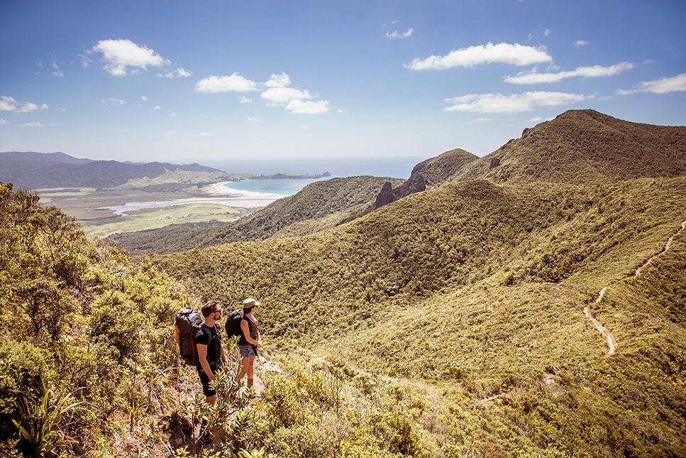 m2woman-hikes-great-barrier-island