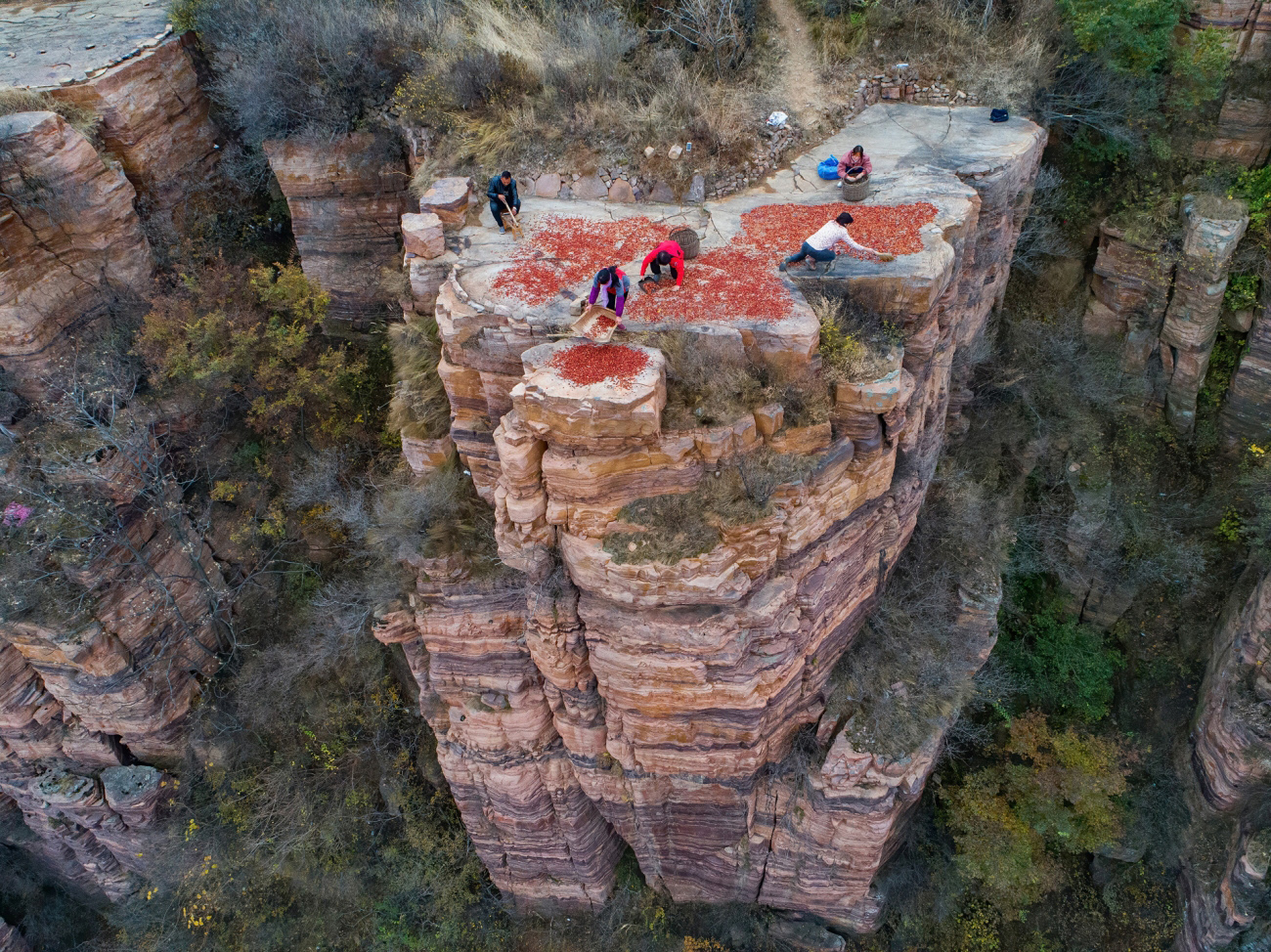 Basket Crops on the Cliff by Minqiang Lu - M2woman