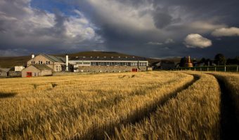 M2woman.com - Check Out 185 Years Of Whisky Tradition Whisky