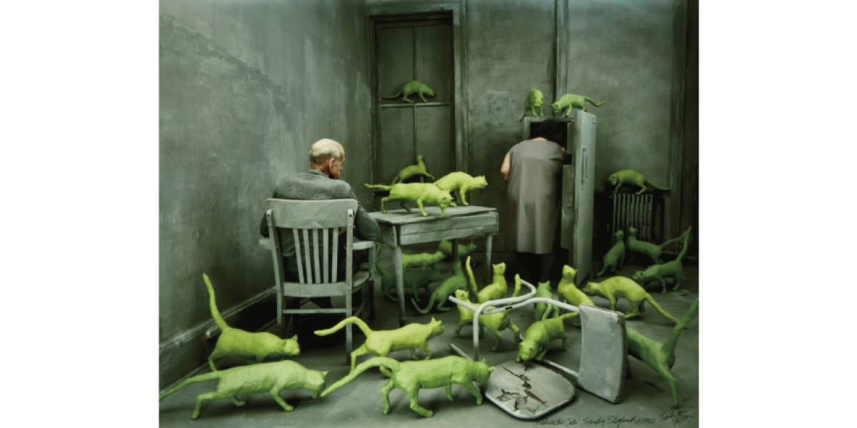 Sandy Skoglund