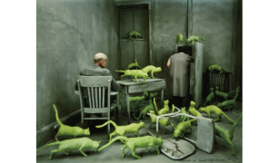 Sandy Skoglund