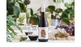 M2woman.com - How To Host The Ultimate Dinner Party with Mission Wines M2woman.com - How To Host The Ultimate Dinner Party with Mission Wines