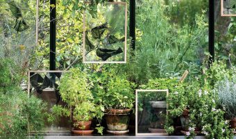 M2woman.com - Interior Inspo: Green Goddess Green Goddess