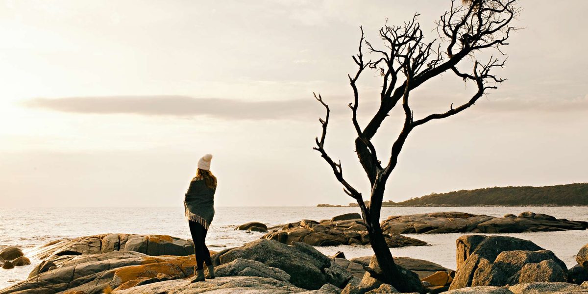 Tasmania-tree