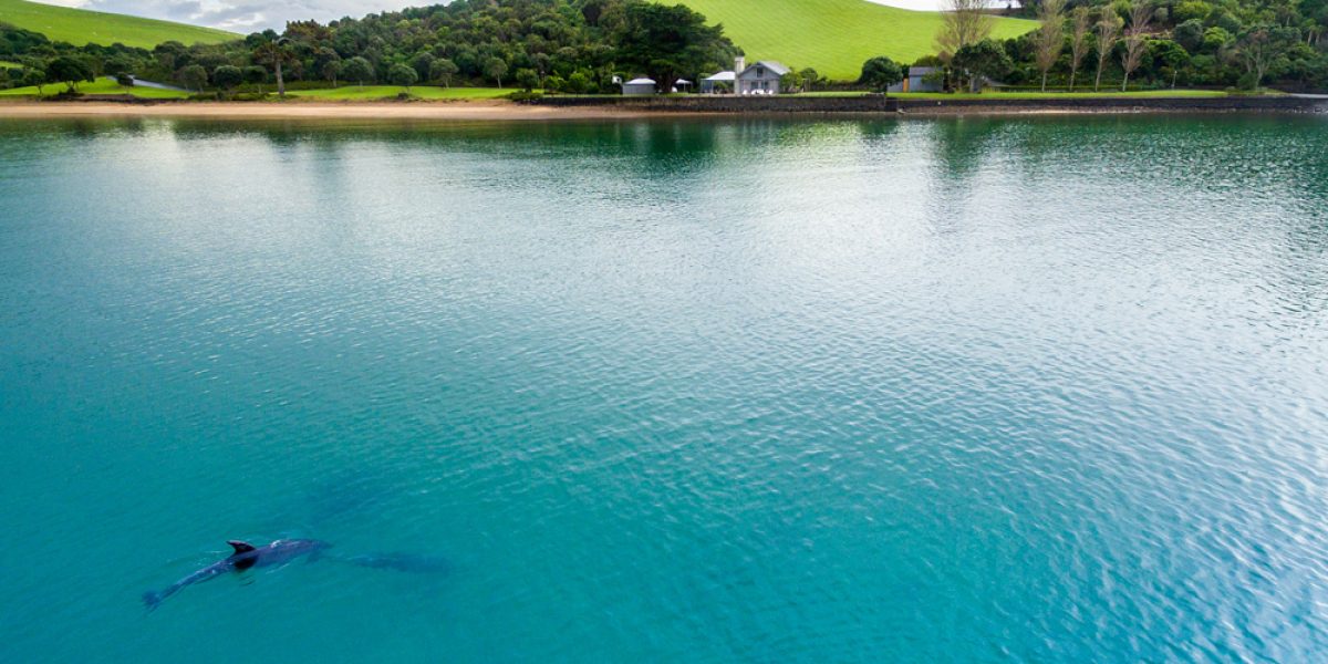 DJI_00542